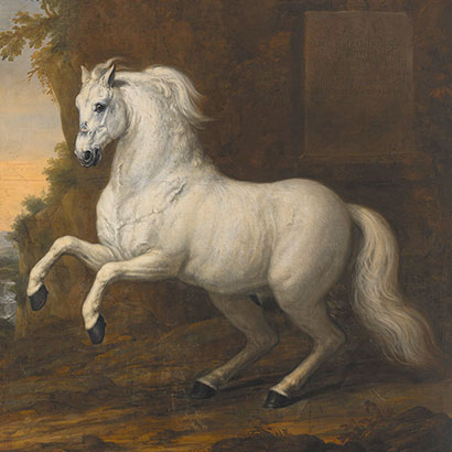 King Karl XI's horse Kortom